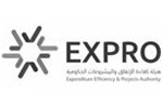 Expenditure Efficiency and Project Authority